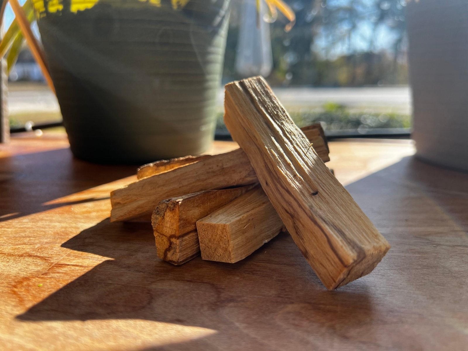 Palo Santo Stick (1ct)