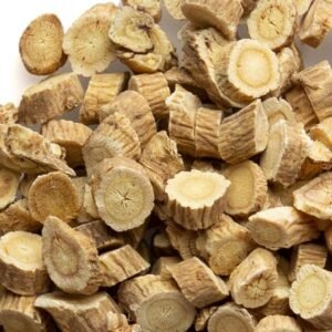 Astragalus